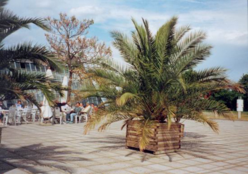 Tour 1998 — Bild 7