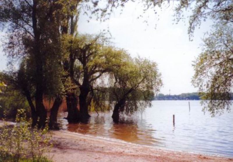Tour 1994 — Bild 5
