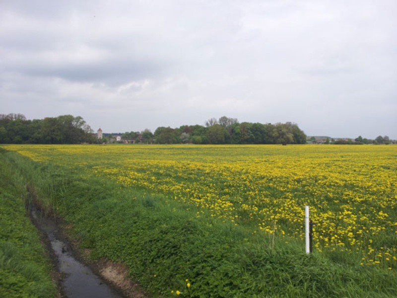 Tour 2013 — Bild 1